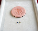 Selena Jewelry Bullion - Chambord Sapphire Tone Vintage Twist Stud Earrings
