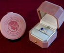 Selena Jewelry Bullion - Fontainebleau Sapphire Tone Sunburst Halo Ring